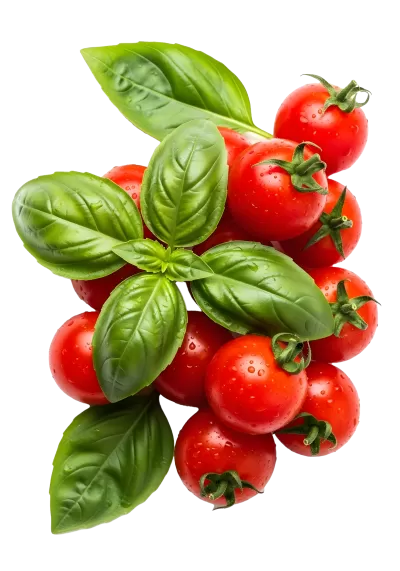 Imagen PNG para descargar